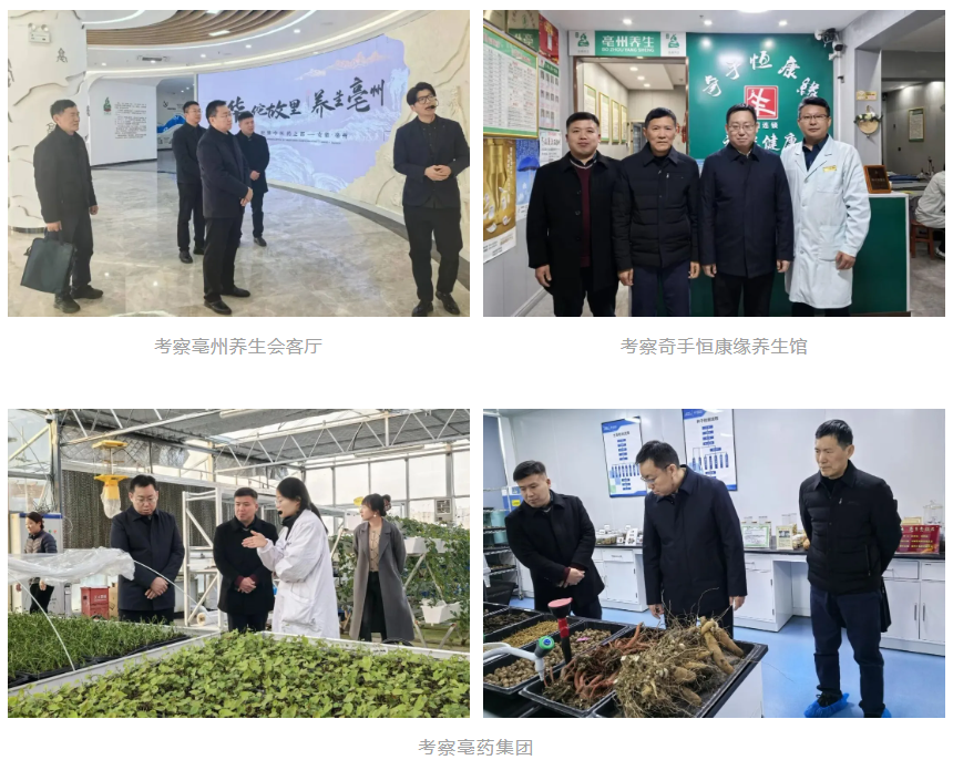 许云飞会长考察亳州健康养生产业